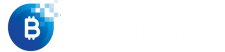 shoptimizer_logo (1)